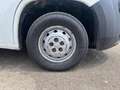 Peugeot Boxer TRASPORTO LATTICINI MOTORE/CAMBIO NUOVI PM-TM Bianco - thumbnail 13