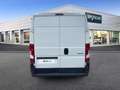Peugeot Boxer TRASPORTO LATTICINI MOTORE/CAMBIO NUOVI PM-TM Bianco - thumbnail 6