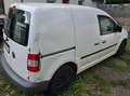 Volkswagen Caddy Caddy 2.0 SDI Weiß - thumbnail 2