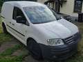 Volkswagen Caddy Caddy 2.0 SDI Weiß - thumbnail 3