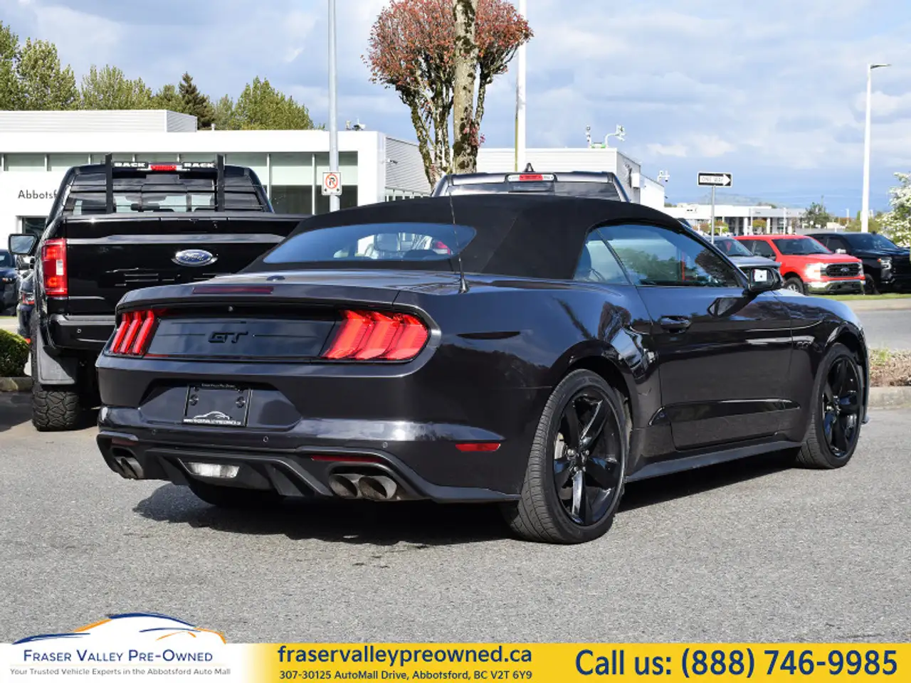 Ford Mustang fotografie Ford Mustang