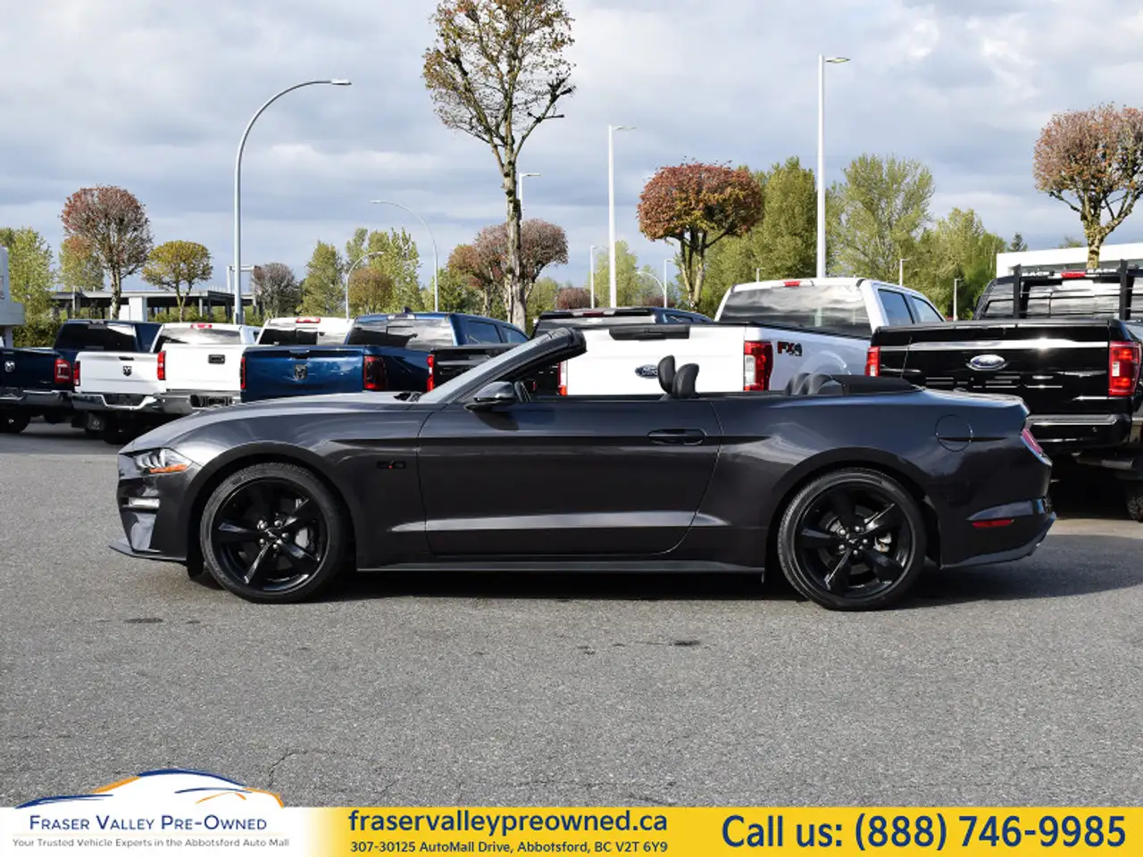 Ford Mustang fotografie Ford Mustang