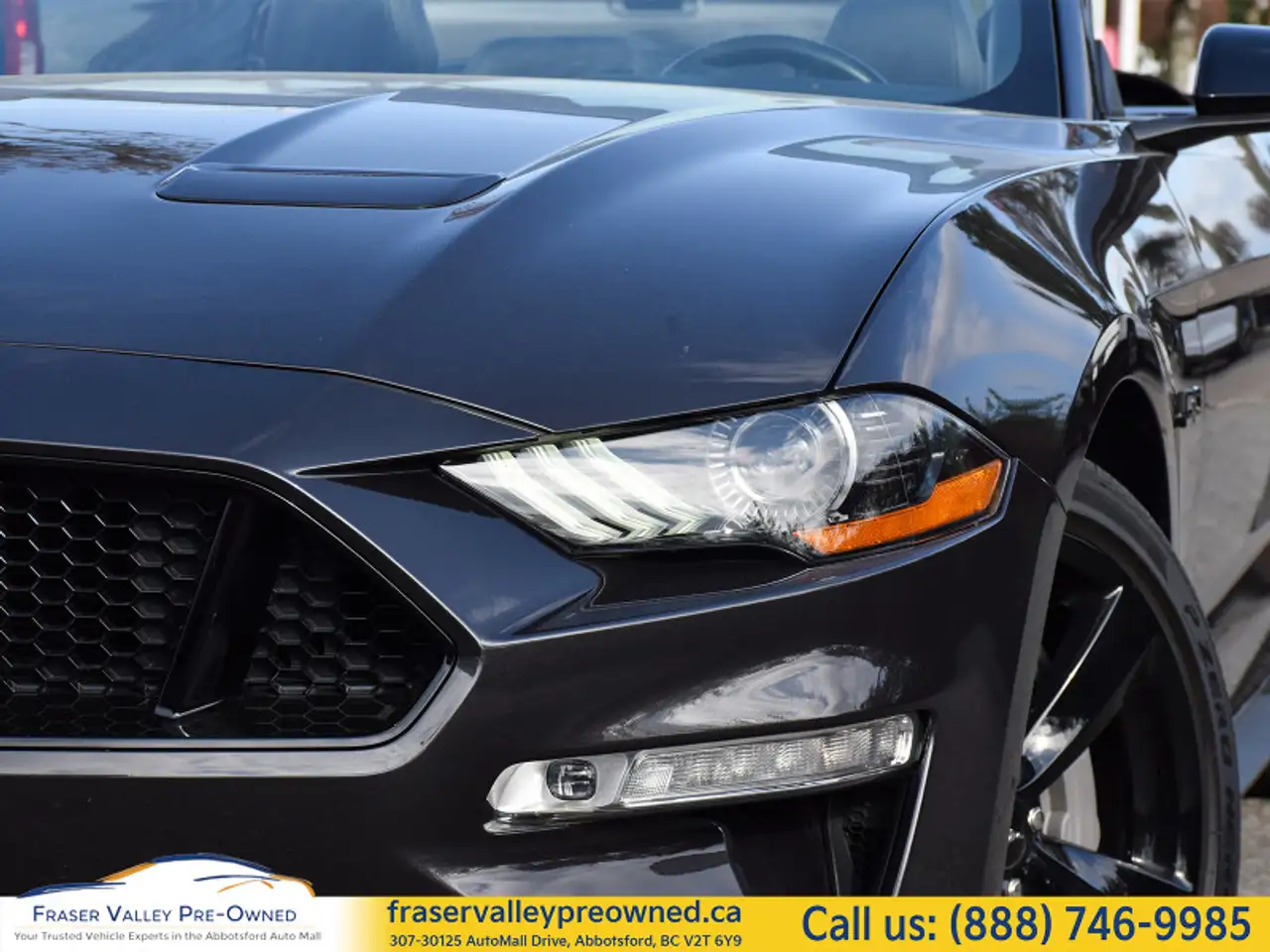 Ford Mustang fotografie Ford Mustang