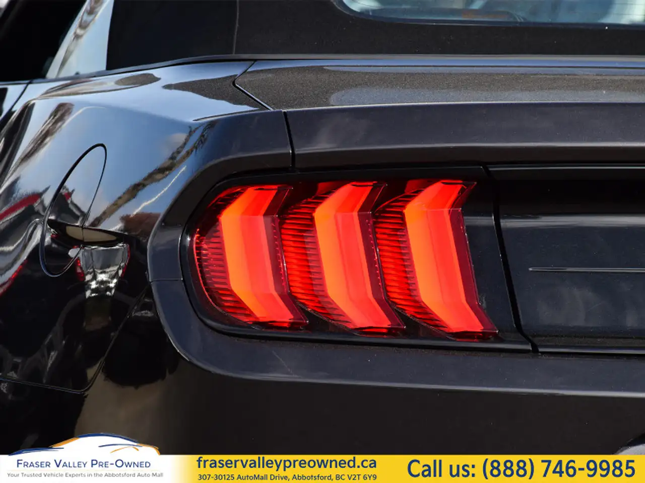 Ford Mustang fotografie Ford Mustang