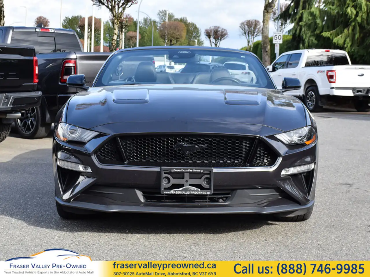 Ford Mustang fotografie Ford Mustang