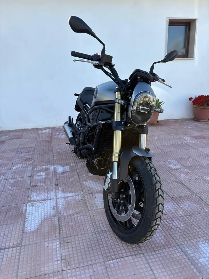 Benelli Leoncino - 1