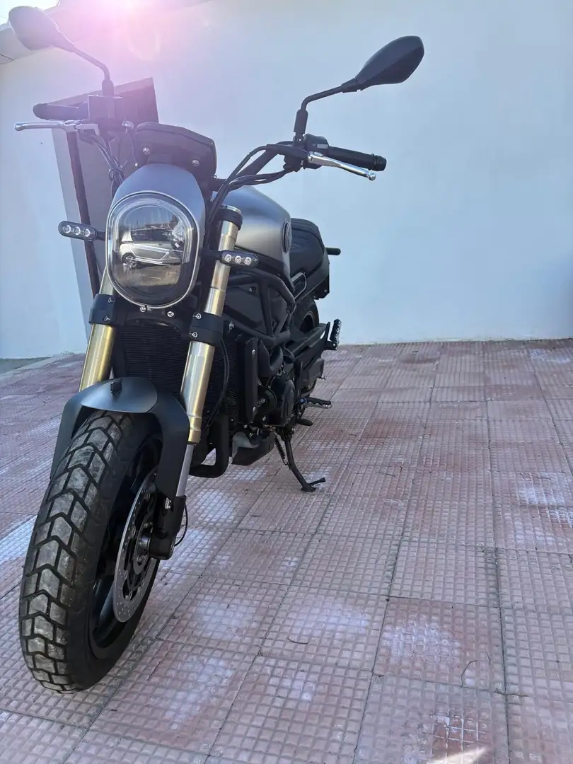 Benelli Leoncino - 2