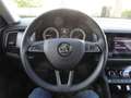 Skoda Kodiaq 2,0 TDI DSG *KAMERA*SHZ* Grau - thumbnail 17