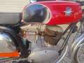 MV Agusta 125 GTL Rosso - thumbnail 5