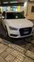 Audi A3 A3 III 2014 1.6 tdi Ambiente 110cv E6 Bianco - thumbnail 1