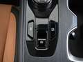 Lexus RZ 450e President Line | Panorama dak (dimbaar) | Dir Schwarz - thumbnail 36