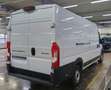 Peugeot Boxer 35 Heavy L4H2 BlueHDi 140 *NAV KAMERA UVM* Weiß - thumbnail 3