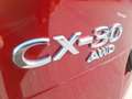 Mazda CX-30 X180 AWD AT GT+ Rot - thumbnail 6