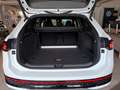 Volkswagen Passat Variant 2.0 TDI SCR 4MOTION DSG R-Line "Signature" Weiß - thumbnail 20