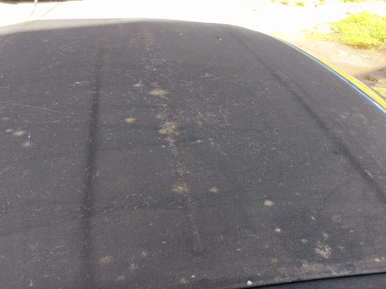 BMW 320 Ci, foto 5