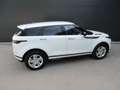 Land Rover Range Rover Evoque P300e PHEV AWD R-Dyna Weiß - thumbnail 7