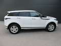 Land Rover Range Rover Evoque P300e PHEV AWD R-Dyna Weiß - thumbnail 9