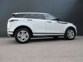 Land Rover Range Rover Evoque P300e PHEV AWD R-Dyna Weiß - thumbnail 8