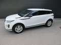Land Rover Range Rover Evoque P300e PHEV AWD R-Dyna Weiß - thumbnail 2