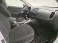 Kia Sportage 1.6 GDI Drive 4x2 Weiß - thumbnail 17