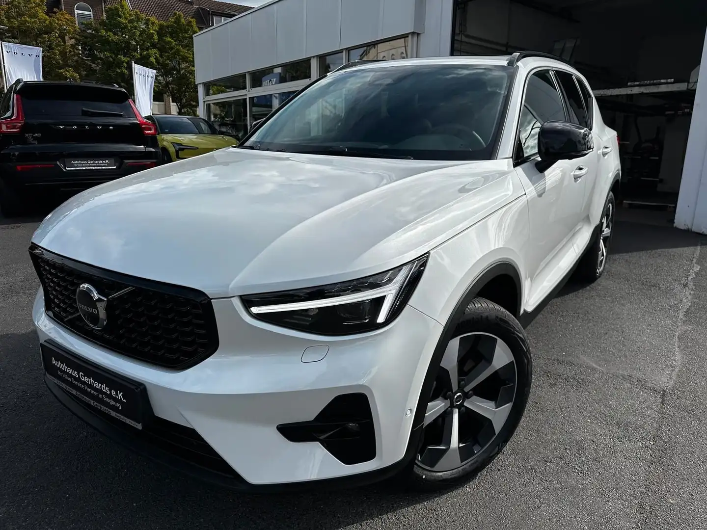 Volvo XC40 B3 Plus Dark Leder,AHK,Pano,360°,BLIS,ACC Weiß - 1