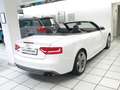 Audi S5 3.0 TFSI Cabrio S Tronic Quattro 2.Hand Scheckheft Weiß - thumbnail 9