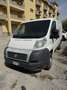 Fiat Ducato - thumbnail 2
