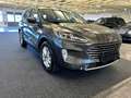 Ford Kuga Kuga 2,0 EcoBlue Titanium Grau - thumbnail 3