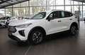 GWM HAVAL Jolion Pro 1.5 Turbo Premium Automatik Weiß - thumbnail 1