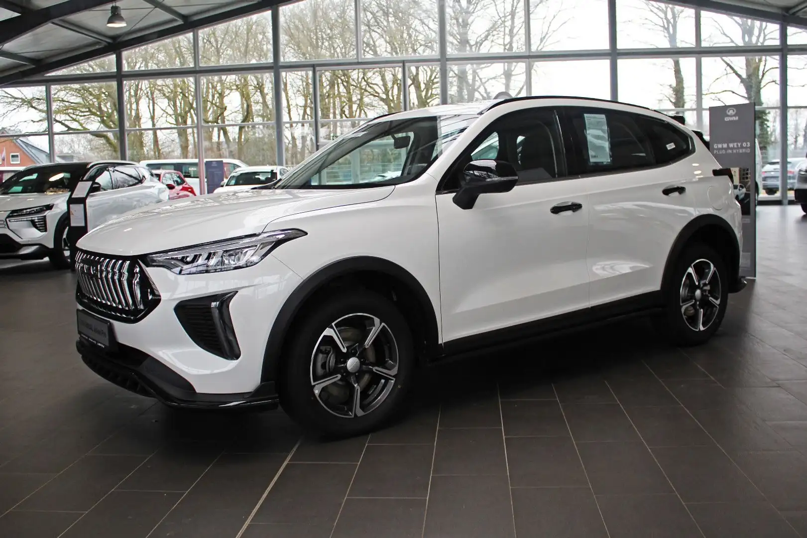 GWM HAVAL Jolion Pro 1.5 Turbo Premium Automatik Weiß - 1
