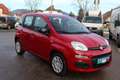 Fiat Panda 4x2 FireFly Hybrid 70 Pop Blau - thumbnail 3