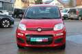 Fiat Panda 4x2 FireFly Hybrid 70 Pop Blau - thumbnail 2