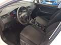 SEAT Ibiza 1.0 MPI Evo S&S Reference 80 Blanco - thumbnail 9