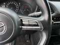 Mazda 3 Mazda 3 Skyactiv-D116 Comfort*NAVI*RFK*TOP ZUSTAND Grau - thumbnail 24