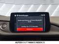 Mazda 6 SK SKYACTIV-G 194 FWD 5T AG AL-SPORTS AHK Navi Rot - thumbnail 21