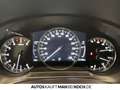 Mazda 6 SK SKYACTIV-G 194 FWD 5T AG AL-SPORTS AHK Navi Rot - thumbnail 11