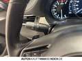 Mazda 6 SK SKYACTIV-G 194 FWD 5T AG AL-SPORTS AHK Navi Rot - thumbnail 17