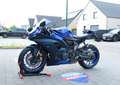 Yamaha YZF-R7 Icon blue 35kw Albastru - thumbnail 12
