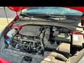 Kia Ceed SW / cee'd SW ceed SW 1,5 TGDI GT-Line 48V DCT GT-Line Rot - thumbnail 13