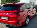 Kia Ceed SW / cee'd SW ceed SW 1,5 TGDI GT-Line 48V DCT GT-Line Rot - thumbnail 8