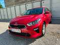 Kia Ceed SW / cee'd SW ceed SW 1,5 TGDI GT-Line 48V DCT GT-Line Rot - thumbnail 6