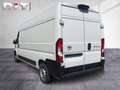 Toyota Proace Max Kasten L3H2 Meister 3.5t Klima Kamera Weiß - thumbnail 3