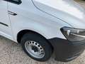 Volkswagen Caddy 2.0 TDI 102 CV BUSINESS - PREZZO + IVA - EURO 6B Bianco - thumbnail 3