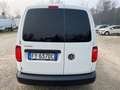 Volkswagen Caddy 2.0 TDI 102 CV BUSINESS - PREZZO + IVA - EURO 6B Bianco - thumbnail 6