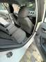 SEAT Ibiza 1.2 CR TDi Style DPF Blanc - thumbnail 4