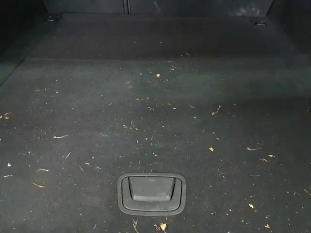 Opel Insignia view 10