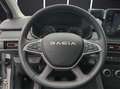 Dacia Sandero Stepway Expression TCe 100 ECO-G Navi Sitzheizung  Grau - thumbnail 14