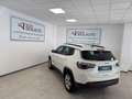 Jeep Compass II 2017 1.6 mjt Longitude 2wd 120cv my19 Bianco - thumbnail 17