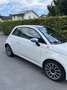 Fiat 500 FireFly Hybrid 70 Launch Edition - thumbnail 6