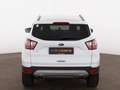 Ford Kuga 1.5 EcoBoost Trend SITZHZG TEMPOMAT KLIMA Weiß - thumbnail 7